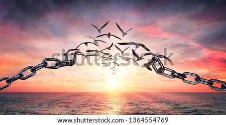 On The Wings Of Freedom - Birds Flying And Broken Chains - Charge Concept
 Royalty-Free Stock Photo #1364554769