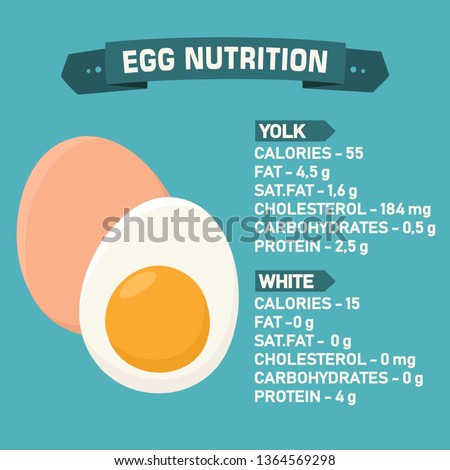 Vector food icon calories chicken eggs. An egg in the shell and half an egg with yolk, a description of the nutritional value of the product. Illustration of eggs nutrition in flat minimalism style. Royalty-Free Stock Photo #1364569298
