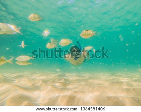 young men snorkeling exploring underwater coral reef landscape background in the deep blue ocean with colorful fish and marine life
