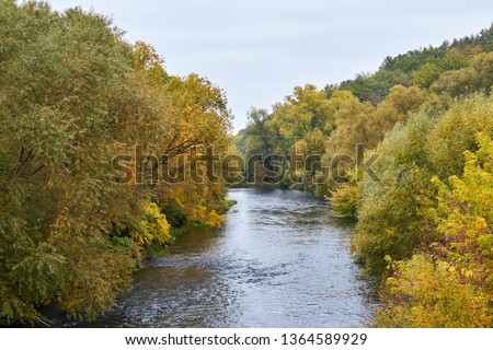 Green forest and river. Forest Lake. The river flows among trees. Beautiful view of nature. Landscape photo of green forest. Forest nature on a sunny day. Beautiful nature of Germany.
