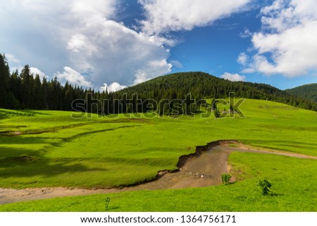 Pastoral scenery with beautiful green foliage in summer, rain clouds and a stream in a meadow, in the Transylvanian Alps