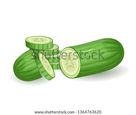 cucumber and cucumber sliced vector illustration Royalty-Free Stock Photo #1364763620