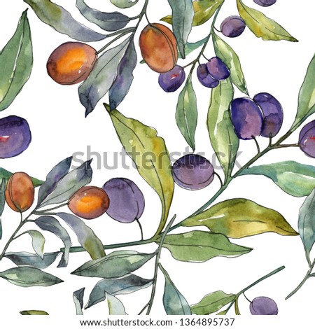Olive branch with black and green fruit. Watercolor background illustration set. Watercolour drawing fashion aquarelle isolated. Seamless background pattern. Fabric wallpaper print texture.