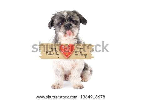 Shih Tzu Dog sticking out tongue with Happy Mother's Day Heart Cookie Wood Sign hanging around neck white background