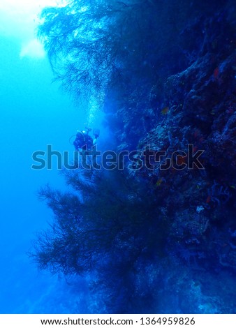Scuba Diving in Rabaul in 2019 , PNG Islands best scuba diving Royalty-Free Stock Photo #1364959826