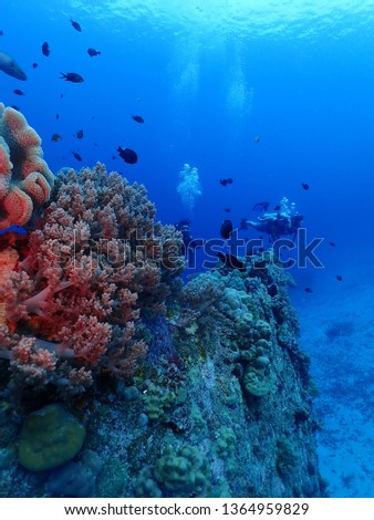 Scuba Diving in Rabaul in 2019 , PNG Islands best scuba diving Royalty-Free Stock Photo #1364959829
