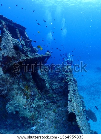 Scuba Diving in Rabaul in 2019 , PNG Islands best scuba diving Royalty-Free Stock Photo #1364959835