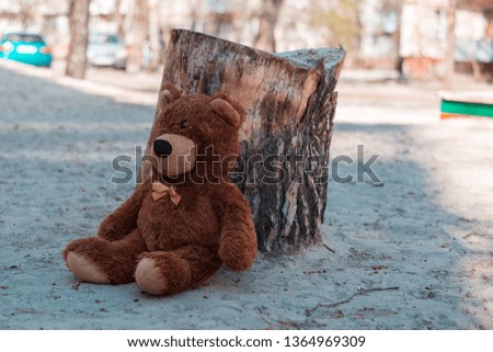Abandoned teddy bear sitting near a tree on the street.