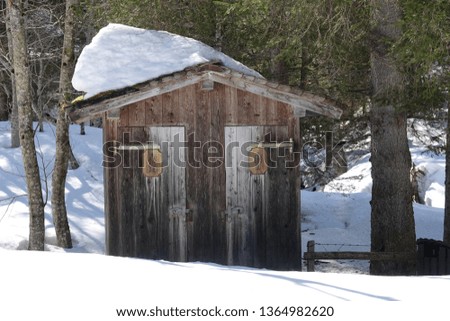 a outdoor toilet in the snow capped forest