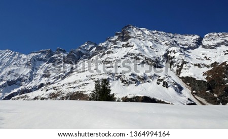 beautiful apine landscape with a agriculture field under the snow