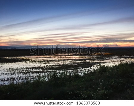 Flooded rice fields at sunset. The orange, pink, blue sky reflects in the water of the fields and water canals creating a beautiful scene. Torroella de Montgri, Baix Empordà Costa Brava, Girona, Spain