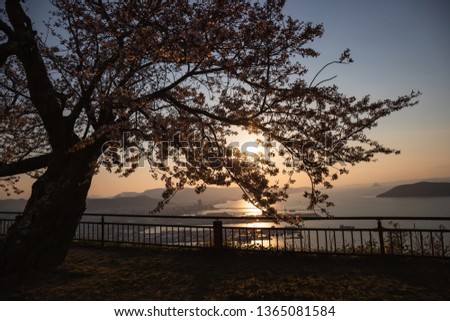 Cherry tree and Takamatsu port in the twilight at Yashima ,Shikoku,Japan