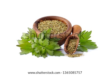 Lovage, Levisticum officinale. Lovage fresh and dried Isolated on white backgrounbd. Royalty-Free Stock Photo #1365085757