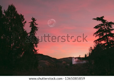 Pink sky and moon. Morning. Simplicity in detail. Trees. Pretty view. South of Spain. Spring. Hill. Granada.