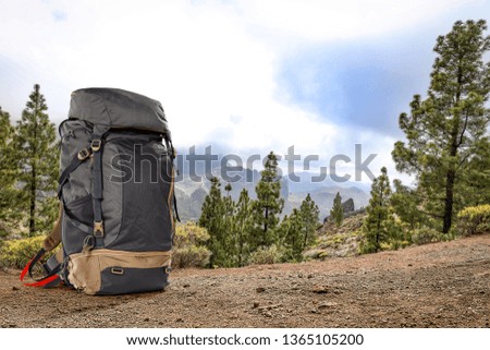 Summer photo of backpack in mountains and free space for your decoration. 