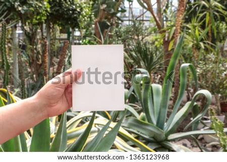Mock up. White box on a background of plants. book, notebook. palm trees, trees, cacti, white layout. white box on the background of the botanical garden