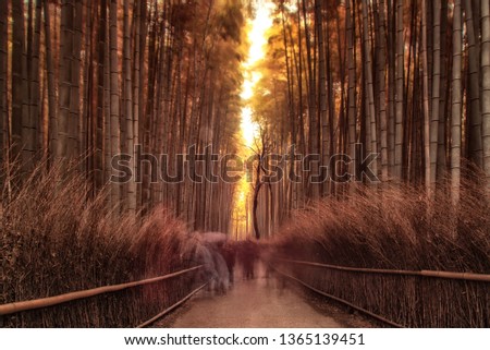 Path to bamboo forest with blurred tourists in Arashiyama, Kyoto