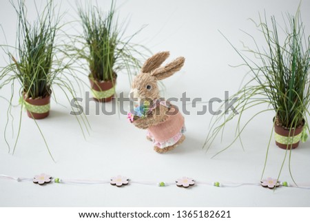 Easter bunny on a white background, studio shoot