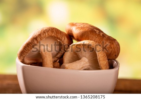 Shitake Mushroom on Wood Background 