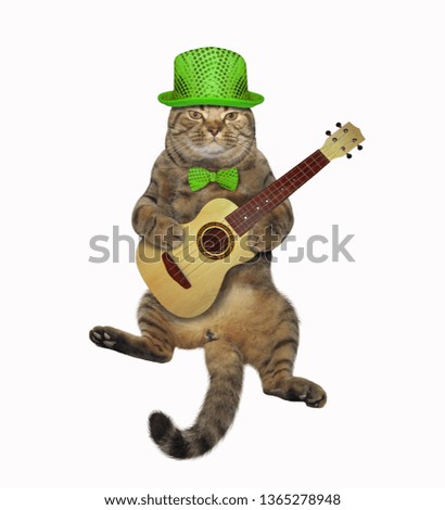 The cat in a green hat and a bow tie is playing the acoustic guitar. White background. Isolated.