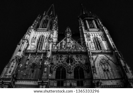 Fine art picture of the cathedral in Regensburg