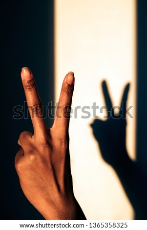 Woman shadow silhouette hands doing sign gestures