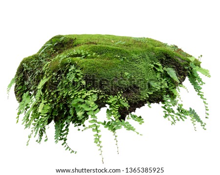 Floating rock island covered by green moss, grass and fern, isolated on white background. Royalty-Free Stock Photo #1365385925
