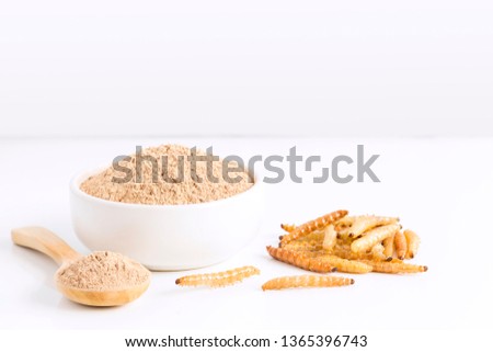 Bamboo worm powder. Bamboo Caterpillar flour for Insects eating as food edible items made of cooked insect meat in bowl and spoon on white background is good source of protein. Entomophagy concept. Royalty-Free Stock Photo #1365396743
