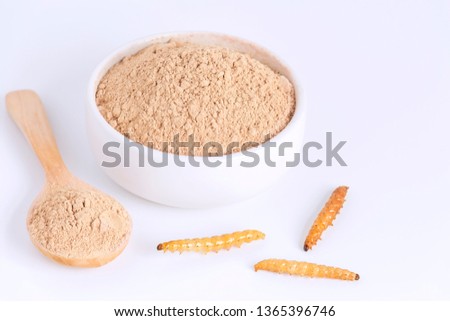 Bamboo worm powder. Bamboo Caterpillar flour for Insects eating as food edible items made of cooked insect meat in bowl and spoon on white background is good source of protein. Entomophagy concept. Royalty-Free Stock Photo #1365396746
