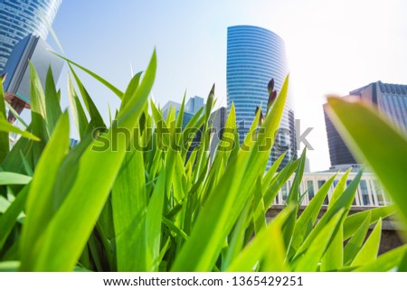 La Defense skyscrapers viewed through green grass