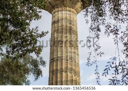 single marble column antique architecture object from ancient Greece times in outdoor natural environment trees branches frame on gray sky background 