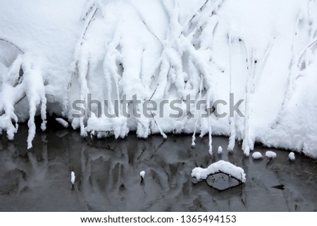 snowy forest near Moscow, winter wonderland