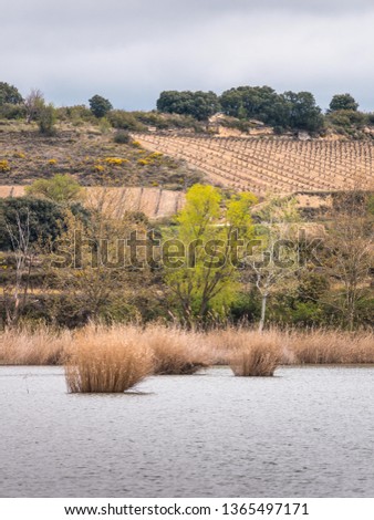 View of one of the lagunas (lakes) as seen from a hiking trail, near Laguardia in the Rioja area, in the background vineyards and holm oaks. Alava, Basque Country, Spain