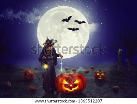 An old fairy conjures on a pumpkin field at night. A huge moon behind her back. Silhouettes of three bats are visible on its background.