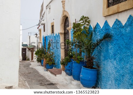 blue and white streets of Morocco