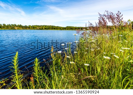 scenic forest lake in sunny summer day with green foliage and shadows. calm water with reflections of clouds
