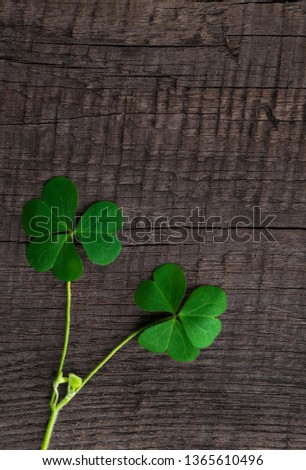 green clover symbol of a St Patrick day 
on wooden background