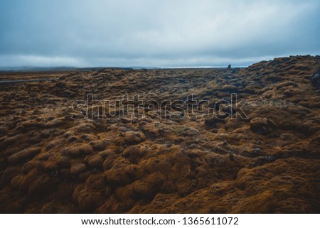 Volcanic ash and lava field in Iceland. Geothermal landscape.