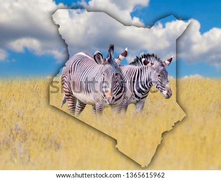 Flag Map of Kenya on which is a picture of a zebras. It's a wild animal living in Africa. It is national african background. There is golden grass and blue sky. There is summer time.