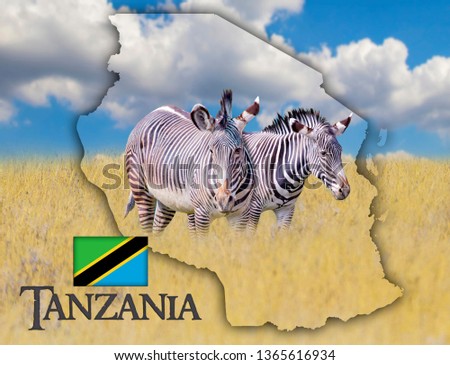Flag Map of Tanzania on which is a picture of a zebras. There is the text of state. It is national african background with golden grass and blue sky. There is summer time.