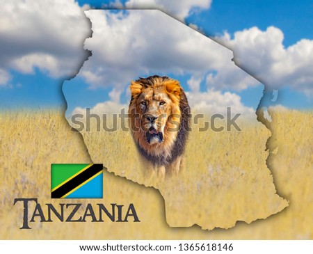 Flag Map of Tanzania on which is a picture of a lion. There is the text of Tanzania and flag. It is national african background with golden grass and blue sky. There is summer time.