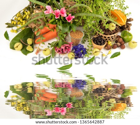 Many herbs have properties for health care and hair care (carrots, neem, hibiscus flowers, Soap Nut Tree, Soap Pod, brahm, Carambola, Lime, Butterfly Pea, Lemongrass, Indian Gooseberry, aloe vera, fen