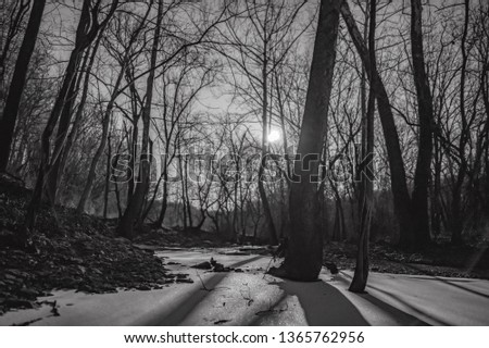 Frozen creek bed lit by the moon