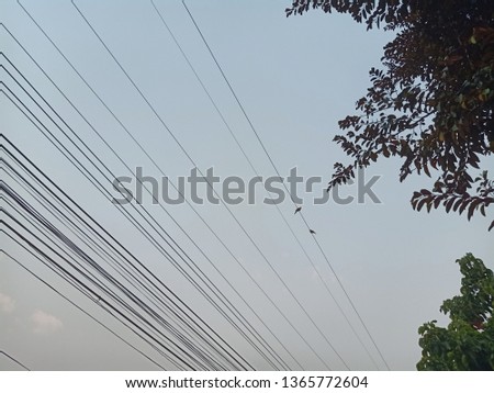 The background of the electric wire has 2 small birds.