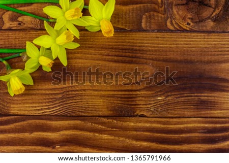 Yellow daffodil flowers on wooden background. Greeting card for Valentine's Day, Women's Day and Mother's Day. Top view, copy space