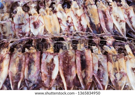 Dried sea food, squid 