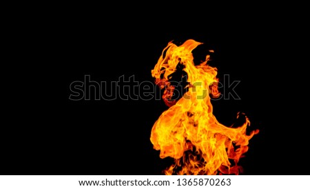 Dragon-shaped fire. Fire in the form of a dragon.Fire flames on black background isolated. fire patterns.
