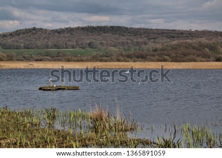 A picture of Leighton Moss Nature Reserve