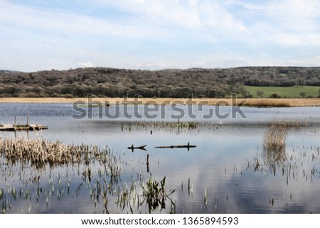 A picture of Leighton Moss Nature Reserve