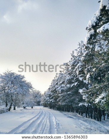 Winter road with covered snow